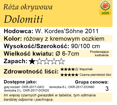 cechy róży okrywowej Dolomiti